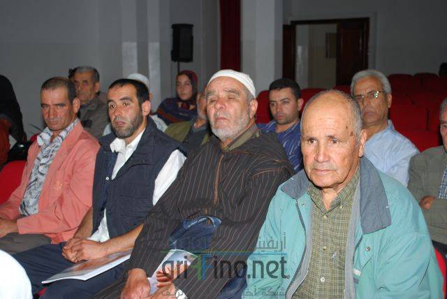 nador3066