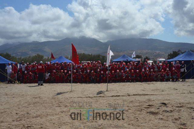 nador3137