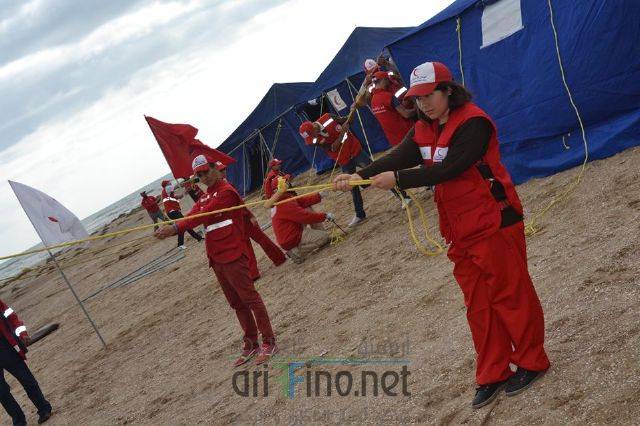 nador3178
