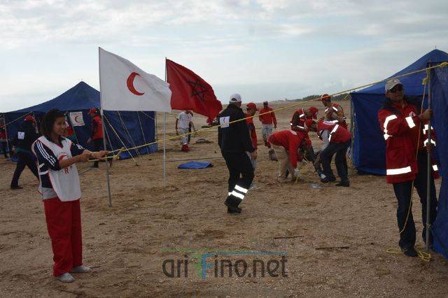 nador3179