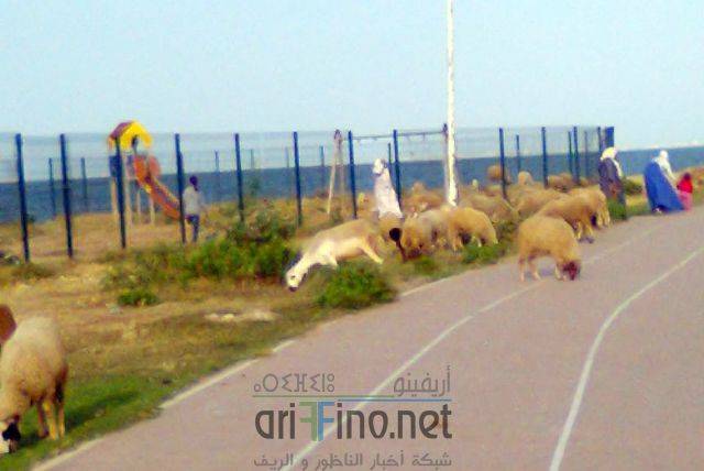 nador3288