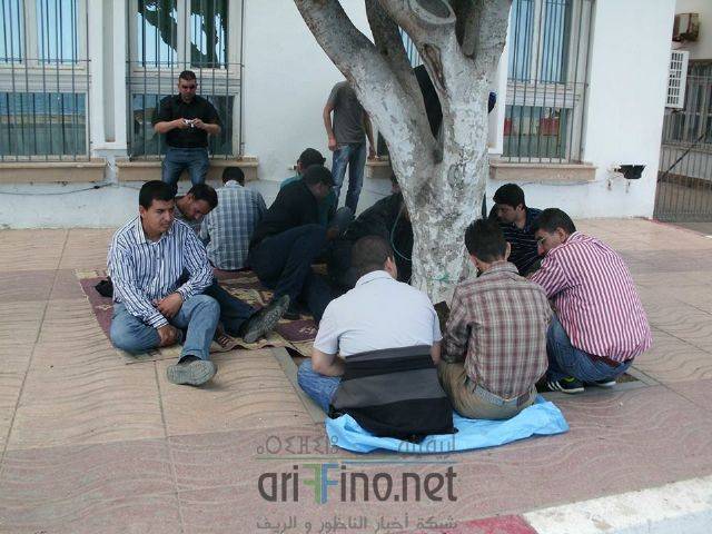 nador3297