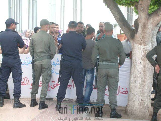 nador3299
