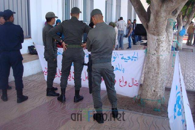 nador3309