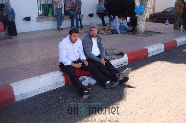 nador3310