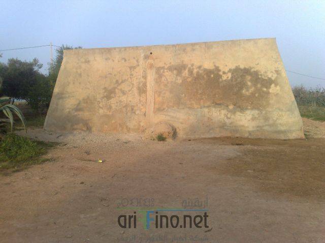 nador3367