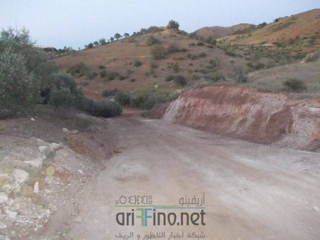 nador3377