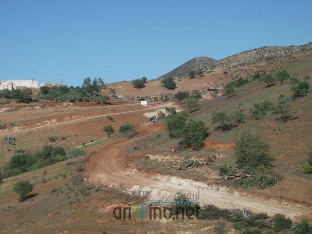 nador3379