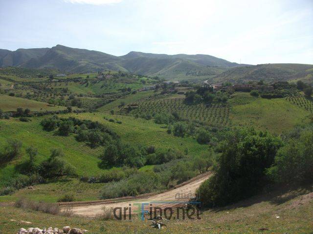 nador3381