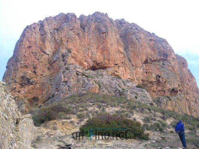 nador3382