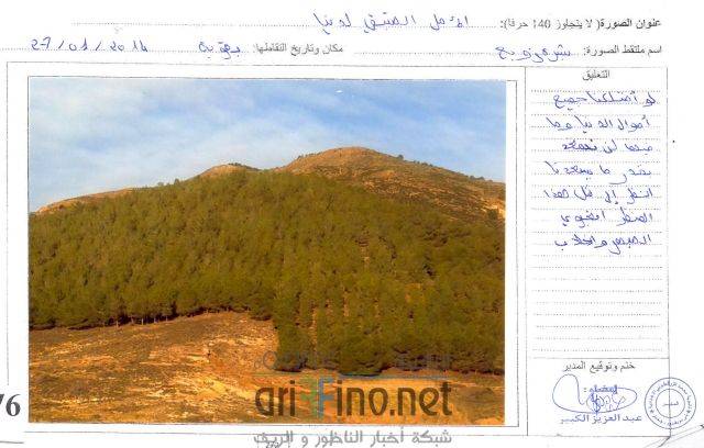 nador3386