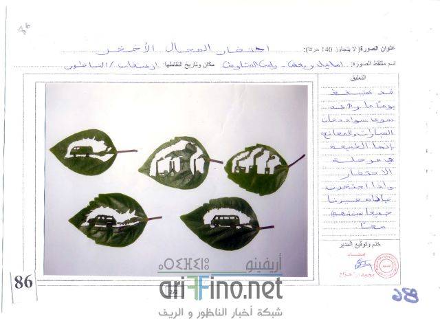 nador3390