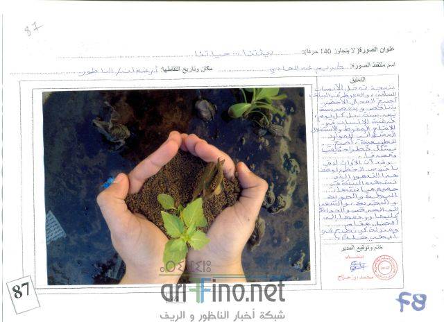 nador3391
