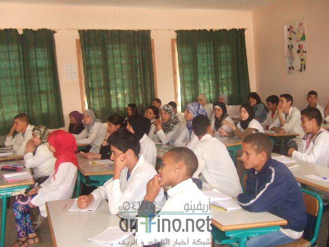 nador3419