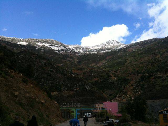 nador3523