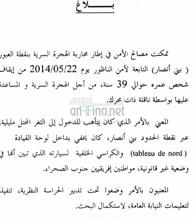 nador3544