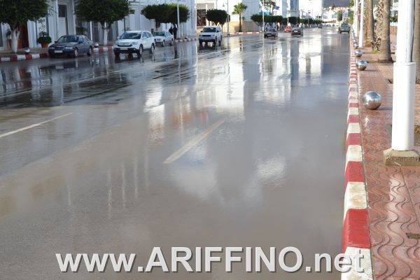 amtar_0011