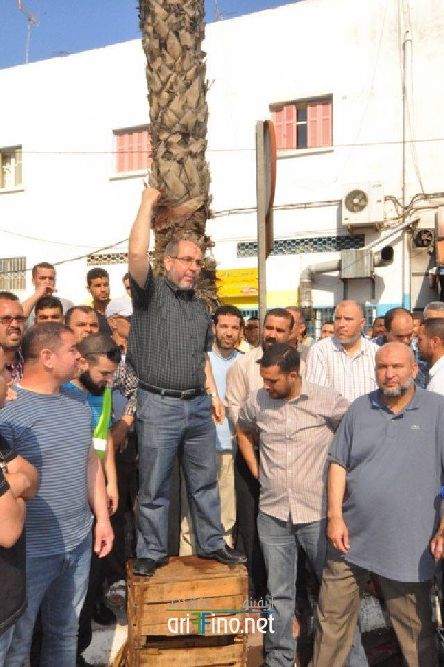 nador0044