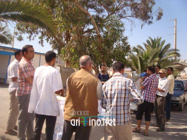 nador0244