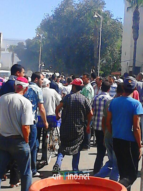 nador0301