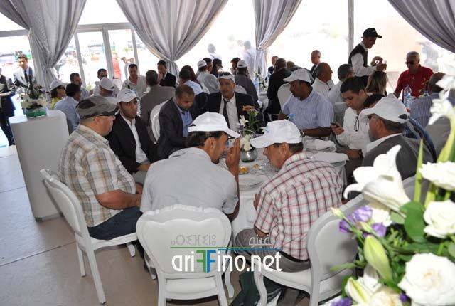 nador0334
