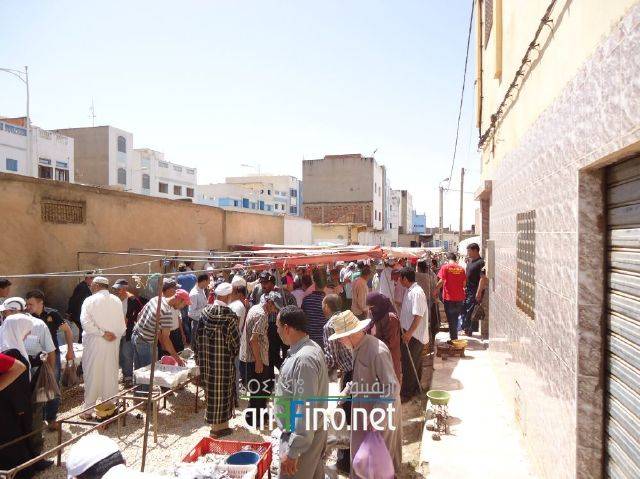 nador0609