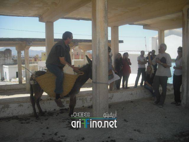 nador0848