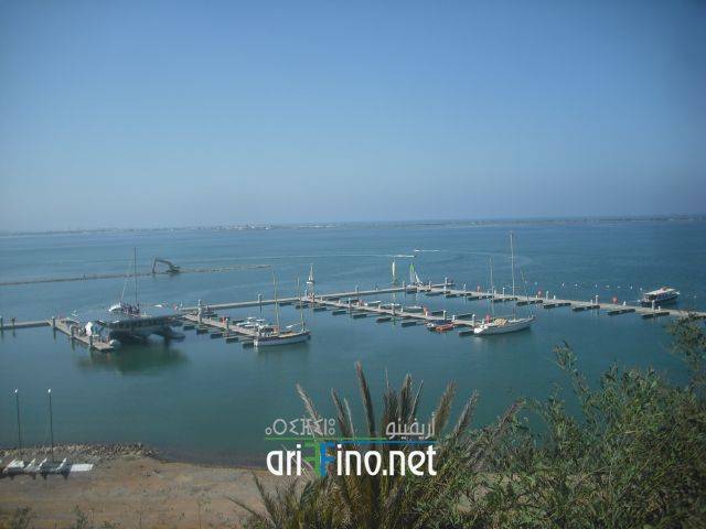 nador0858