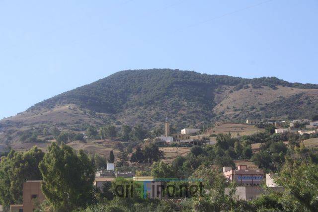 nador0988