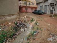 nador1001