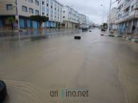 nador1008