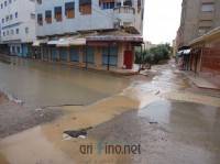 nador1016