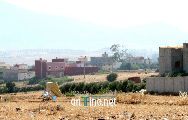 nador1138