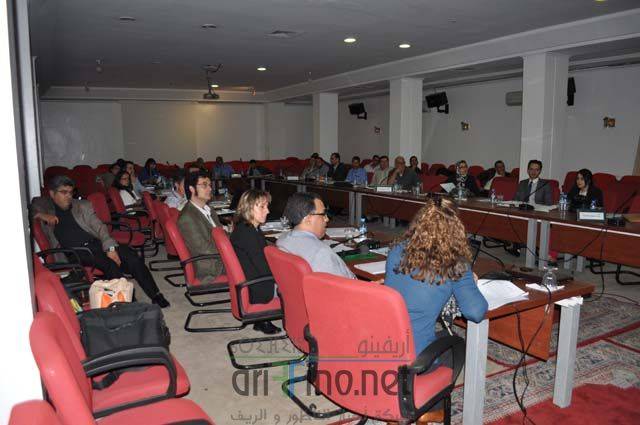 nador1146