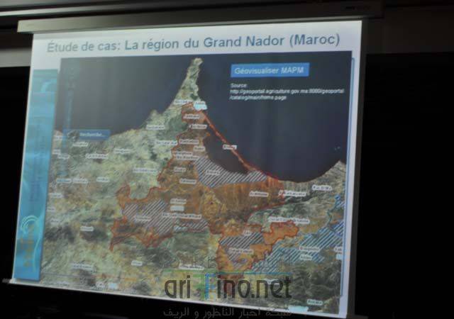 nador1147