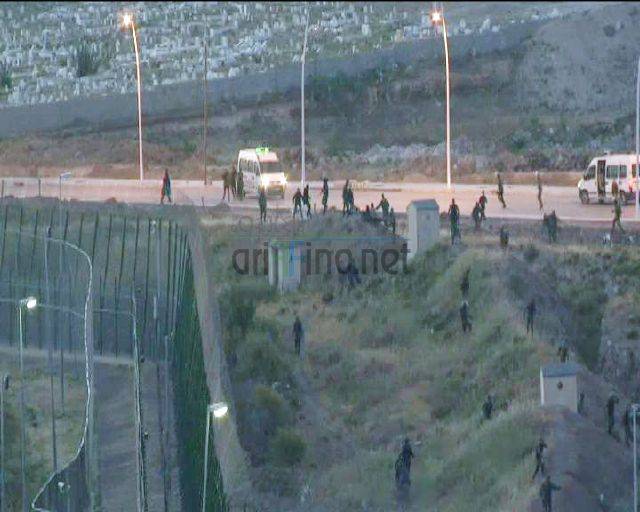 nador1157