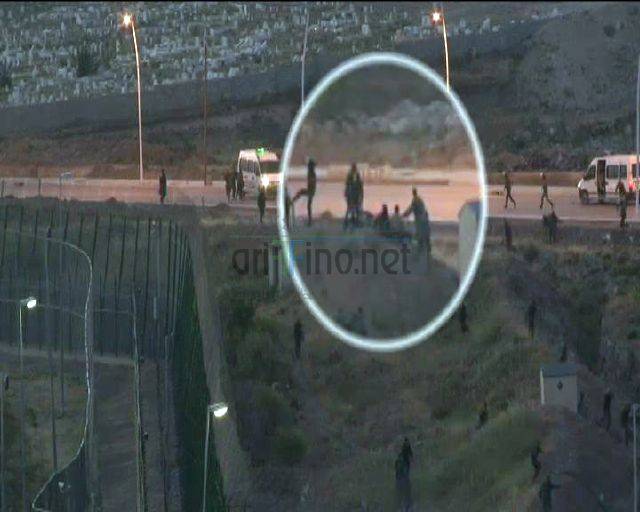 nador1161