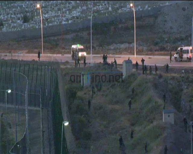 nador1168