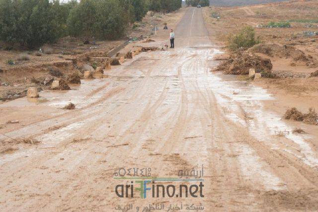 nador1329