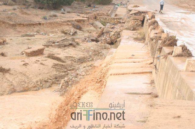 nador1331