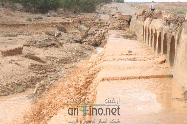 nador1332