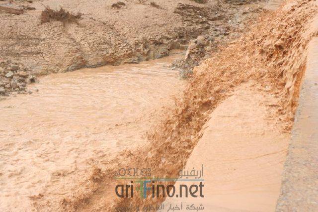nador1333