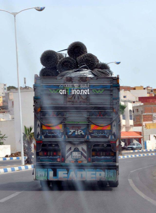 nador1429