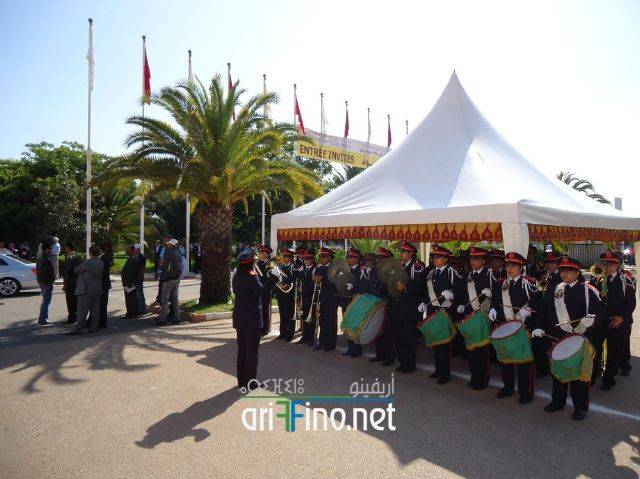 nador1653