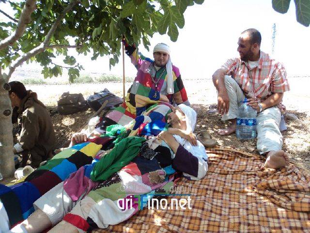 nador0482