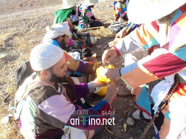 nador0494
