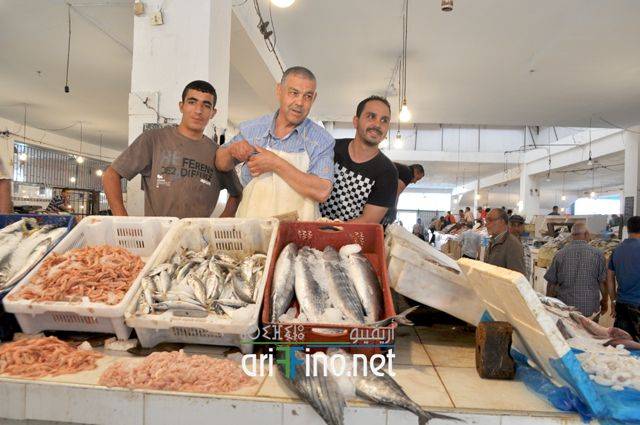 nador0597