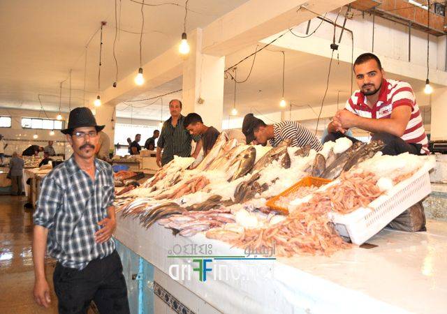 nador0608
