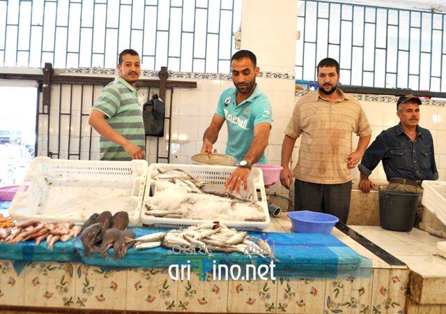 nador0624