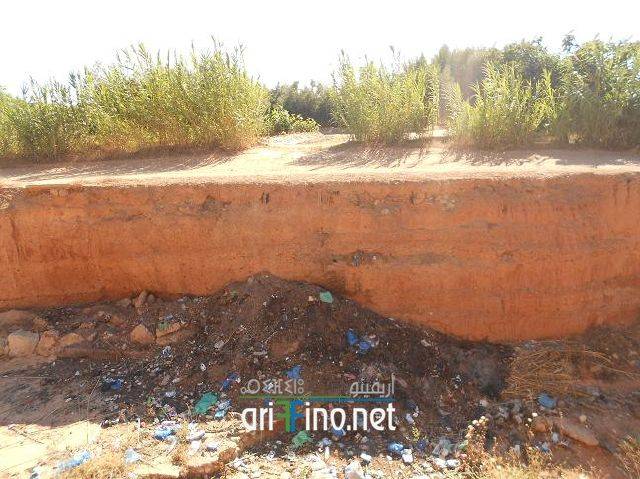 nador0631